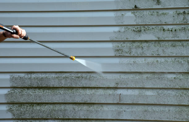 Best Roof Pressure Washing  in South Patrick Shores, FL